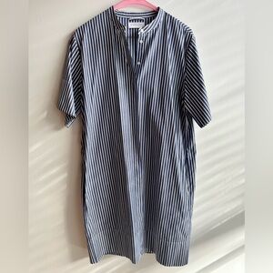 Everlane Blue and White Striped Button Down Tunic Dress
